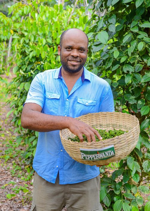 promoteur de Pepperwanda